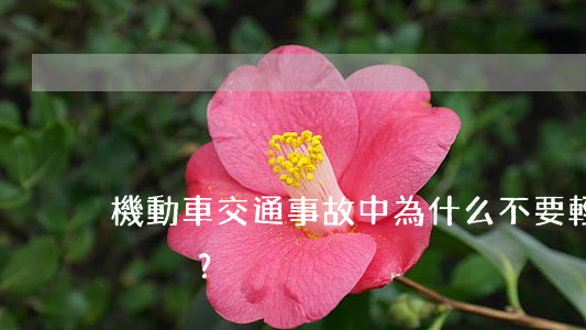 機動車交通事故中，為什么不要輕易攬全責？
